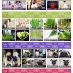 帝国CMS仿《3641图库》模板/美女图片网站源码/带WAP手机站带数据