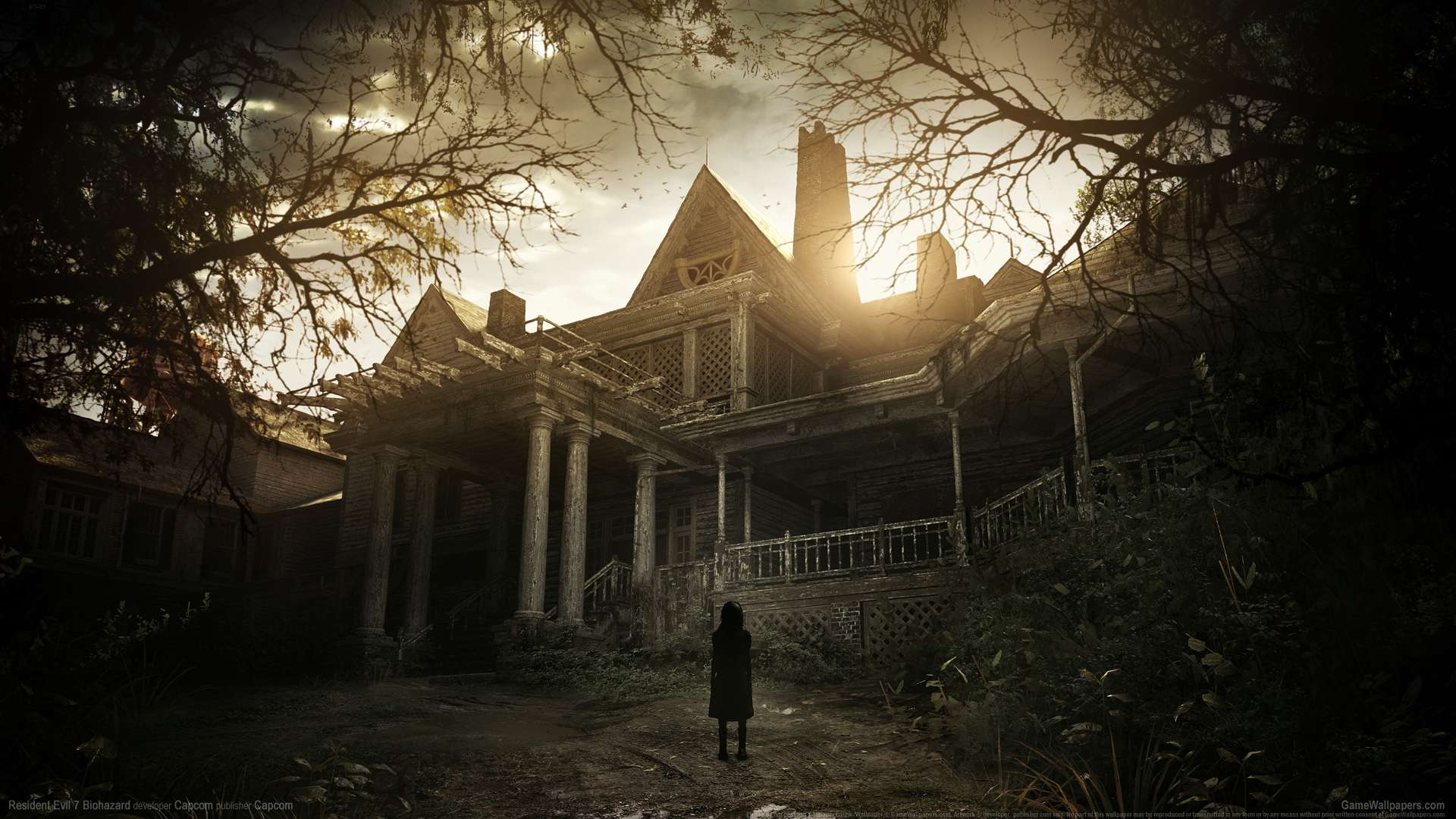 生化危机7（Resident Evil 7 Biohazard）